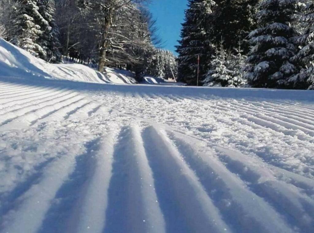 Lejlighed Wurmberg Domizil *
