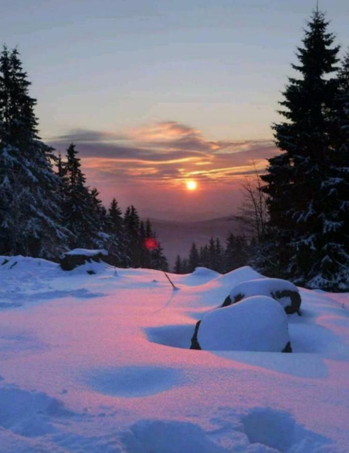 Lejlighed Wurmberg Domizil